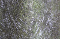 Broad Hill fibreglass roof work